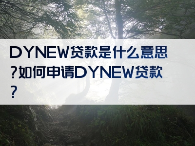 DYNEW贷款是什么意思？如何申请DYNEW贷款？