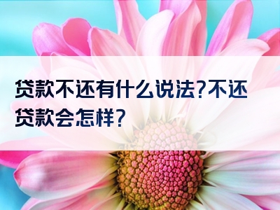 贷款不还有什么说法？不还贷款会怎样？