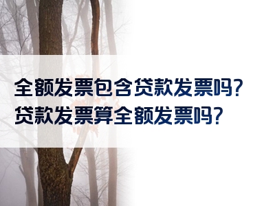 全额发票包含贷款发票吗？贷款发票算全额发票吗？