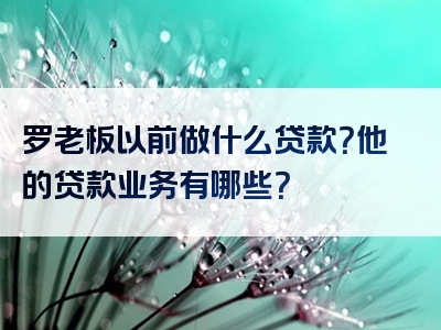 罗老板以前做什么贷款？他的贷款业务有哪些？