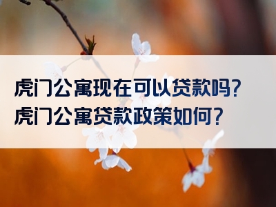 虎门公寓现在可以贷款吗？虎门公寓贷款政策如何？