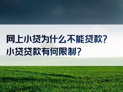 网上小贷为什么不能贷款？小贷贷款有何限制？