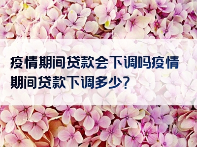 疫情期间贷款会下调吗疫情期间贷款下调多少？