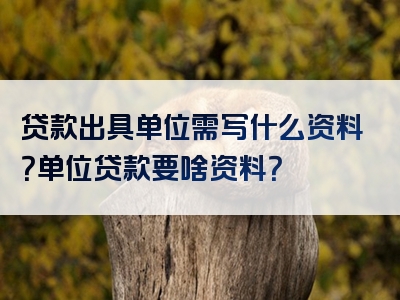 贷款出具单位需写什么资料？单位贷款要啥资料？