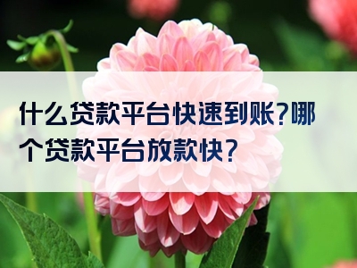 什么贷款平台快速到账？哪个贷款平台放款快？