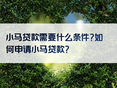 小马贷款需要什么条件？如何申请小马贷款？