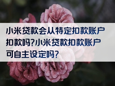 小米贷款会从特定扣款账户扣款吗？小米贷款扣款账户可自主设定吗？