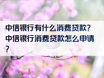 中信银行有什么消费贷款？中信银行消费贷款怎么申请？