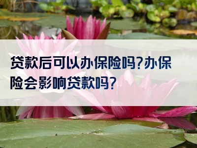 贷款后可以办保险吗？办保险会影响贷款吗？