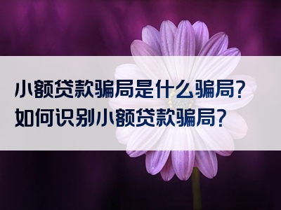 小额贷款骗局是什么骗局？如何识别小额贷款骗局？