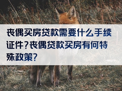 丧偶买房贷款需要什么手续证件？丧偶贷款买房有何特殊政策？