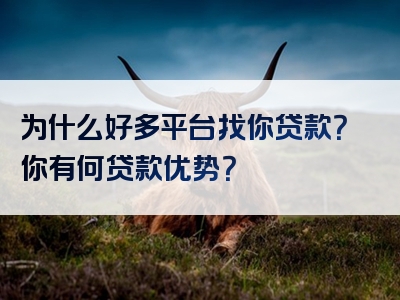 为什么好多平台找你贷款？你有何贷款优势？