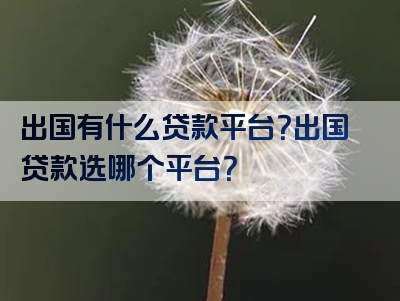 出国有什么贷款平台？出国贷款选哪个平台？