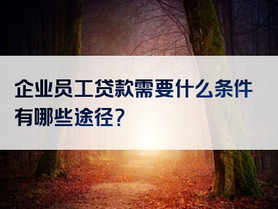 企业员工贷款需要什么条件有哪些途径？