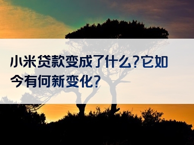 小米贷款变成了什么？它如今有何新变化？