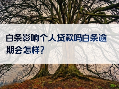 白条影响个人贷款吗白条逾期会怎样？