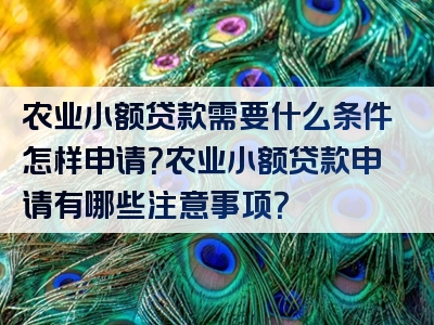 农业小额贷款需要什么条件怎样申请？农业小额贷款申请有哪些注意事项？