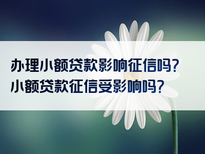 办理小额贷款影响征信吗？小额贷款征信受影响吗？