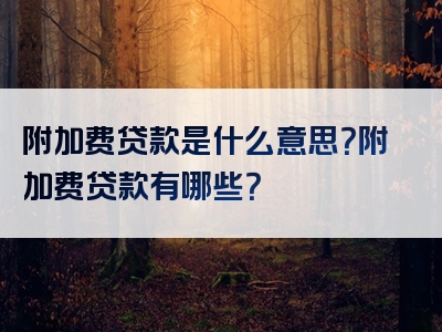 附加费贷款是什么意思？附加费贷款有哪些？