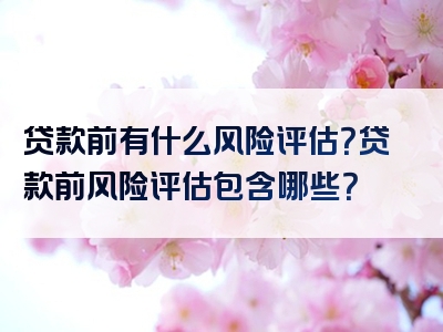 贷款前有什么风险评估？贷款前风险评估包含哪些？