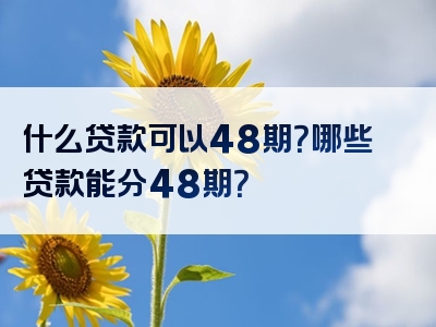 什么贷款可以48期？哪些贷款能分48期？