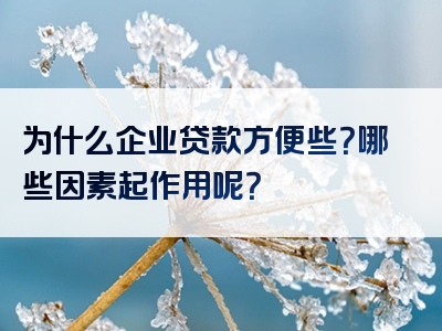 为什么企业贷款方便些？哪些因素起作用呢？