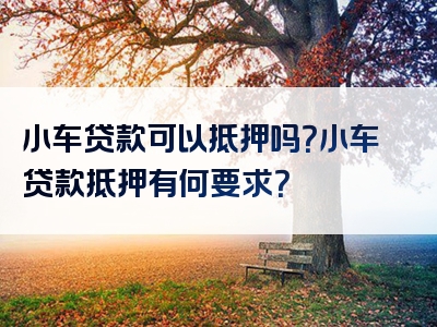 小车贷款可以抵押吗？小车贷款抵押有何要求？