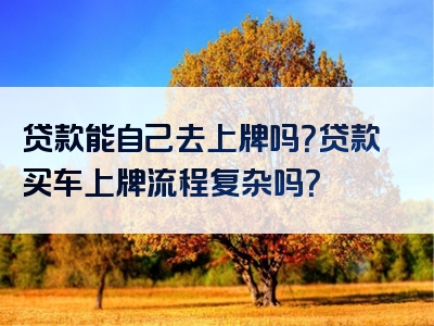 贷款能自己去上牌吗？贷款买车上牌流程复杂吗？