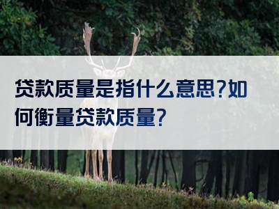 贷款质量是指什么意思？如何衡量贷款质量？