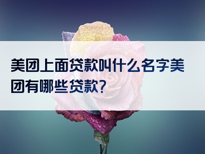 美团上面贷款叫什么名字美团有哪些贷款？