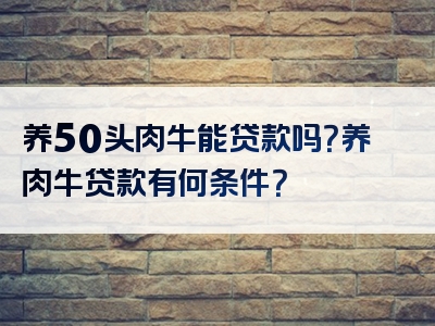 养50头肉牛能贷款吗？养肉牛贷款有何条件？