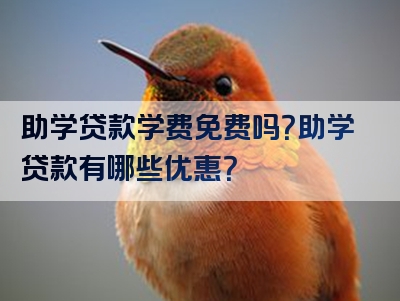 助学贷款学费免费吗？助学贷款有哪些优惠？