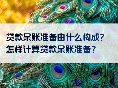 贷款呆账准备由什么构成？怎样计算贷款呆账准备？