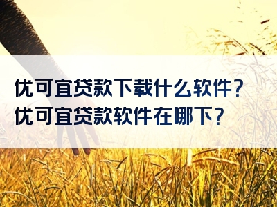 优可宜贷款下载什么软件？优可宜贷款软件在哪下？