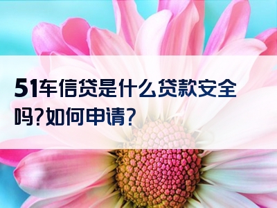 51车信贷是什么贷款安全吗？如何申请？