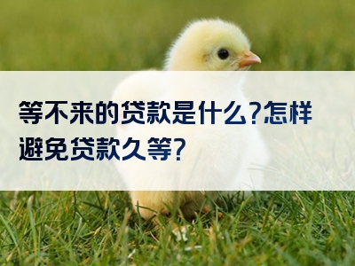 等不来的贷款是什么？怎样避免贷款久等？