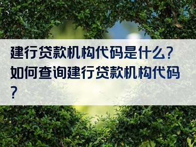 建行贷款机构代码是什么？如何查询建行贷款机构代码？