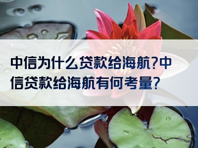 中信为什么贷款给海航？中信贷款给海航有何考量？