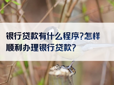 银行贷款有什么程序？怎样顺利办理银行贷款？