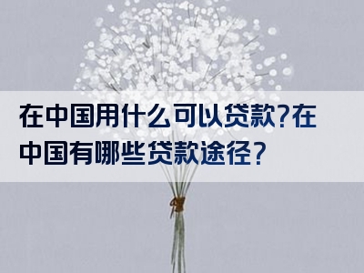 在中国用什么可以贷款？在中国有哪些贷款途径？