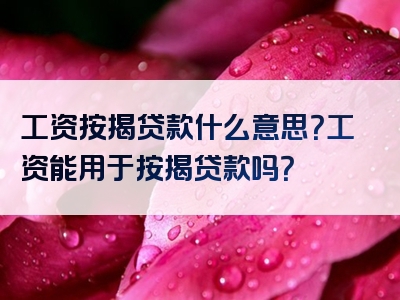 工资按揭贷款什么意思？工资能用于按揭贷款吗？