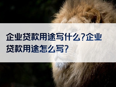 企业贷款用途写什么？企业贷款用途怎么写？