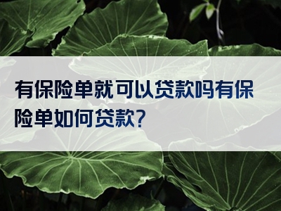 有保险单就可以贷款吗有保险单如何贷款？