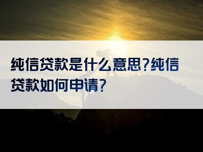 纯信贷款是什么意思？纯信贷款如何申请？