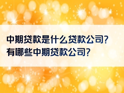 中期贷款是什么贷款公司？有哪些中期贷款公司？