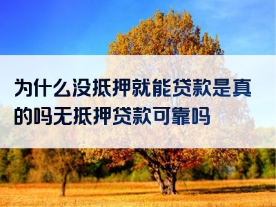 为什么没抵押就能贷款是真的吗无抵押贷款可靠吗