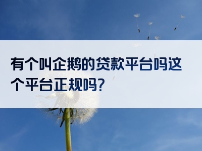 有个叫企鹅的贷款平台吗这个平台正规吗？