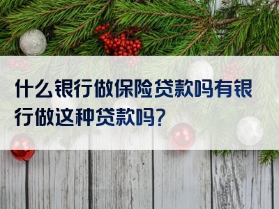 什么银行做保险贷款吗有银行做这种贷款吗？