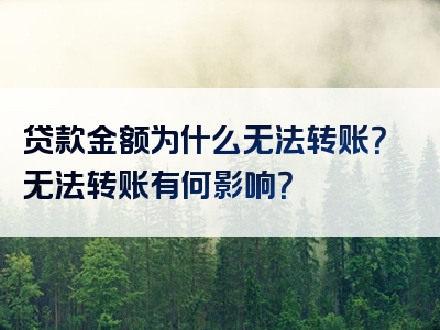 贷款金额为什么无法转账？无法转账有何影响？