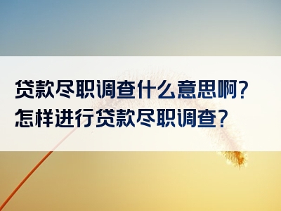 贷款尽职调查什么意思啊？怎样进行贷款尽职调查？